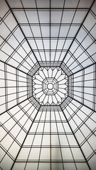 Dome en verre dans une cour intérieur à Lyon