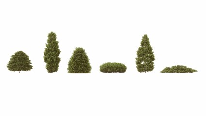 Set of 3D trees and bushes isolated on white background , Use for visualization in graphic design	
