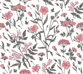 Seamless pattern Linum Flax Jasmine Hemlock tree wildflowers. Beautiful fabric blooming realistic isolated flowers Vintage background Wallpaper baroque. Drawing engraving Vector victorian illustration