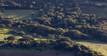 Farmland and landscape on the Sea Coast of Sardinia, Italy. Sunny Fall Season.