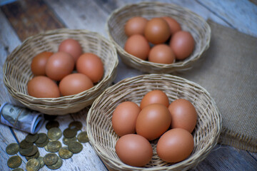 Don't put all your eggs in one basket concept. eggs in a rattan basket, eggs one basket money...