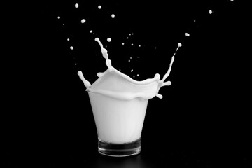Splashes of milk on a black background
