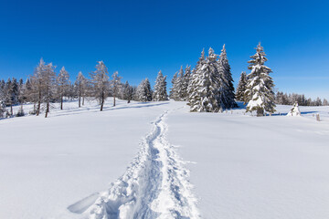 Fototapeta na wymiar Hiking trail through snowy winter landscape for snow hiking
