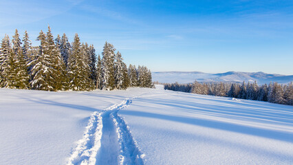 Fototapeta na wymiar Foot steps in powder snow through a beautiful winter mountain landscape in Austria