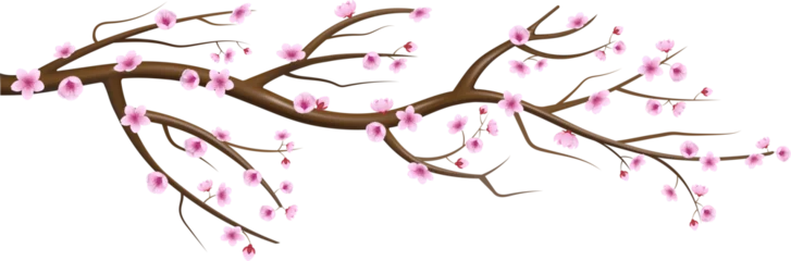 Fleecedeken met foto Kersenbloesem sakura flowers illustration. cherry blossom branch  © Angelica
