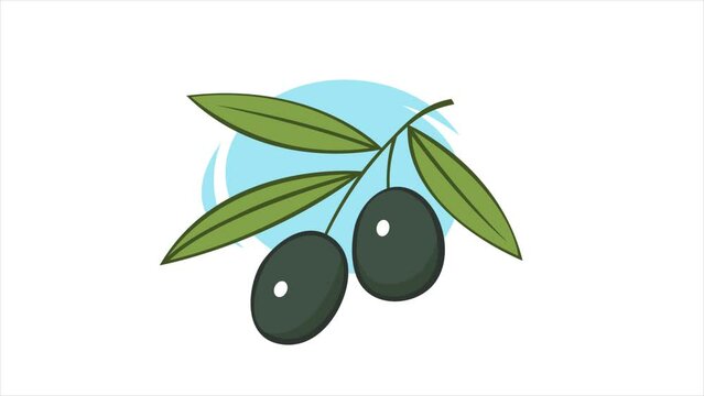 Branch of olive with green leaves. Delicious fruit for seasoning and dishes. Natural vegetable oil. Healthy food. Italy plant. Illustration isolated on white background. Cartoon animation video motion