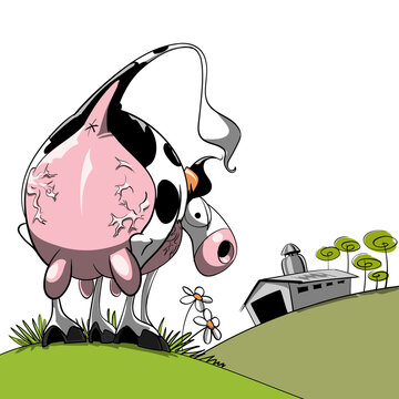 Vaca lechera, de raza frisona (holstein), con la ubre hinchada. A rebosar. Inflaci&oacute;n bovina.