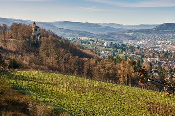 Burg Reichenstein bei Arlesheim BL