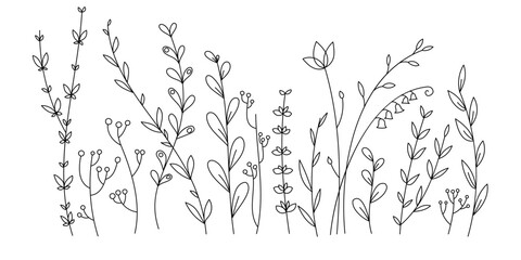 Hand drawn vector linear glade of tall grass. Beautiful floral background for postcards, congratulations, invitations. Gentle, spring meadow. Abstract flowers, plants, grass for coloring and design