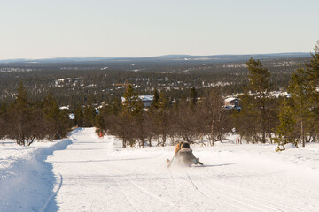 Unrecognizable people sledding down a tobogganing run in Lapland