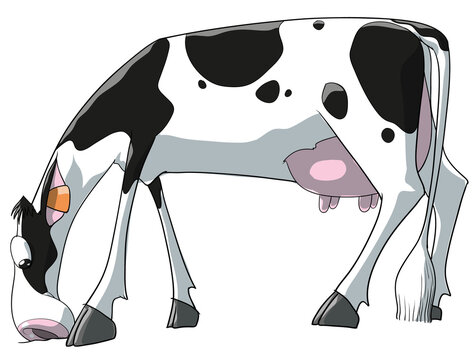 Vaca holstein blanca y negra lechera aislada pastanto en vista lateral estilo cartoon
