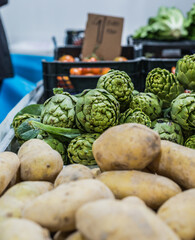 vegetables on the market