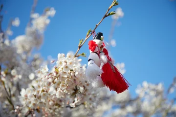 Foto op Canvas Bulgarian traditional spring decor martenitsa on the blossom tree. Baba Marta holiday. © vetre