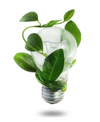 bulb with green leaf isolated