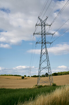 High voltage electricity pylons in a wheat field with blue sky