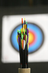 Colorful arrows in front of target for outdoor recreational activity