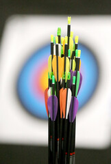 Colorful arrows in front of target for outdoor recreational activity