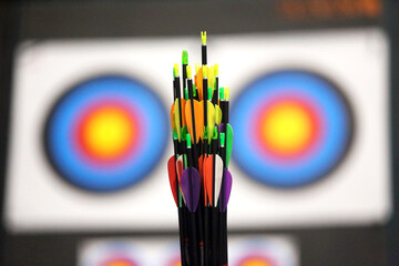 Colorful arrows in front of target for outdoor recreational activity