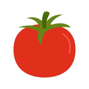 Fresh tomato vegetable. Healthy food. Vector illustration