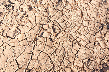 Dried cracked earth in the background. Dry cracked earth in the background. Environmental problem