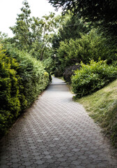 CluJ napoca trip botanical garden 