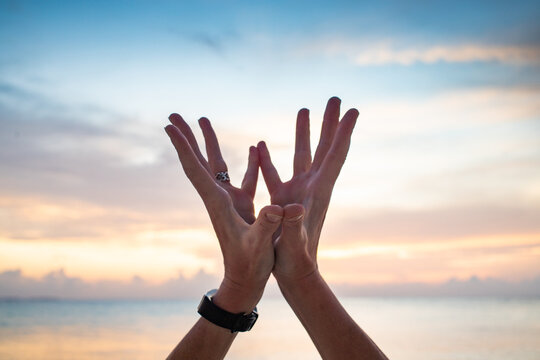 hand in lotus mudra at sunset
