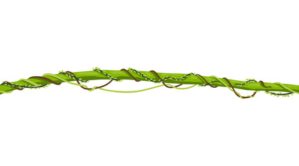 Lianas stem border. Rainforest green vine or twisted plant hanging on branch. Cartoon jungle creeper, leaves or moss on tree. isolated game scenery element. Tropical nature plant