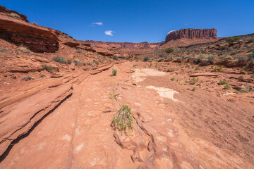 hiking the murphy trail loop in the island in the sky in canyonlands national park, usa