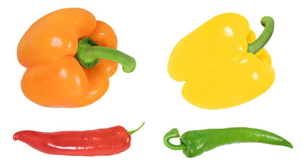 Collection of different peppers on an isolated white background. Red and green chili peppers, yellow and orange peppers