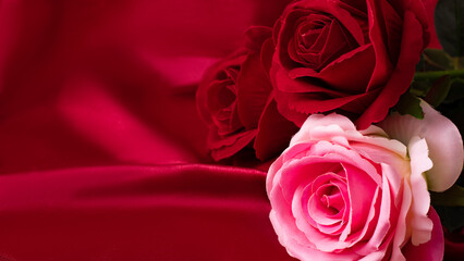 Pink and Red Roses on a Red Velvet Background 