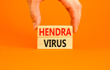 Hendra virus symbol. Concept words Hendra virus on wooden block. Beautiful orange table orange background. Doctor hand. Medical hendra virus concept. Copy space.