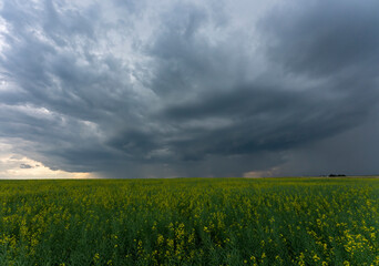 Prairie Storm Clouds