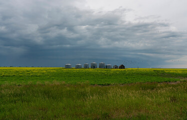 Fototapeta na wymiar Prairie Storm Clouds