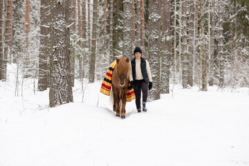 Icelandic horse and female rider in snowy Finnish forest