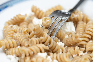 Macaroni pasta with cheese served in the plate with closesup macro shots