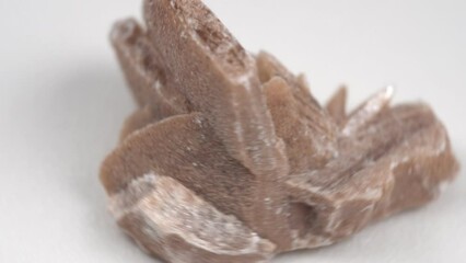 Desert rose. Rock composed of gypsum close up, crystals that resemble the shape of a rose, white background