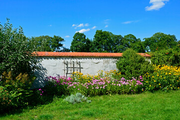 wiejski ogród, kolorowe kwiaty w ogrodzie przy kamiennym płocie - obrazy, fototapety, plakaty