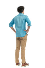 Fototapeta premium rear view of casual curly hair man holding hands on hips and standing