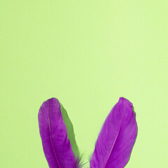 purple bunny ears