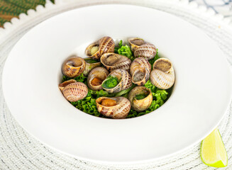 snails dishes, snails ready to eat. Restaurant serving in a deep white plate. Serving dish, snails in a plate. dinner in a restaurant. photo for restaurant menu 