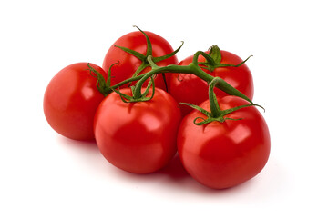 Tomato branch. Ripe fresh tomatoes, close-up, isolated on white background.