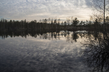 Winter landscape in the Leningrad region, Russian winter, near St. Petersburg