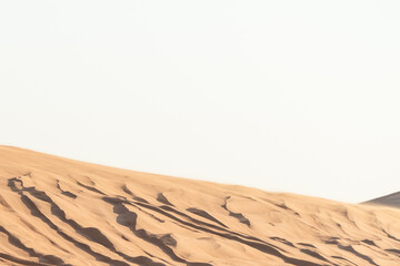 dubai sand dunes in the desert