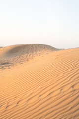 Fototapeta na wymiar landscape sand dunes in the desert