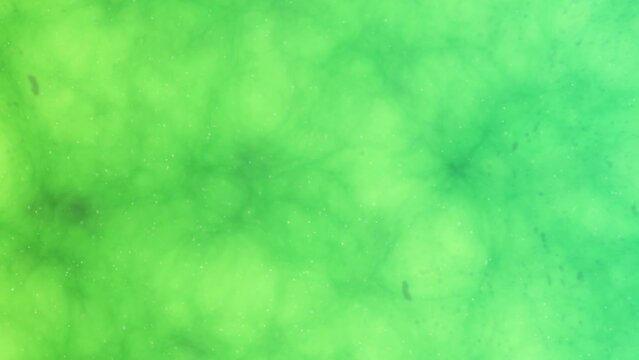 3D Animation ecoli Escherichia Coli bacteria swimming green background