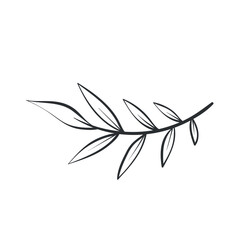 bamboo and leaves. black vector illustration. beautiful and delicate thread. leaflet. nature. plant. icon. branch. nature. beauty. decor.