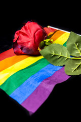 Red rose on lgbtq flag on black background. A red rose on a rainbow flag.