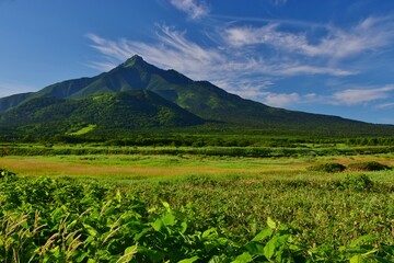 Fototapeta na wymiar 富士野園地から望む利尻岳