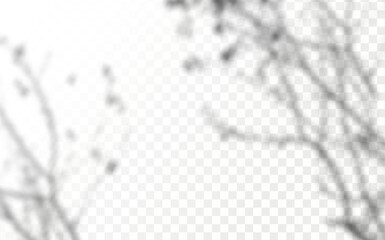Realistic shadow tropical leaves and branches on transparent checkered background. The effect of overlaying shadows. Natural light layout.