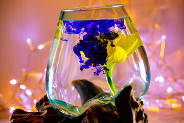 Gelbe Blume Glas Tinte Wasser Osterglocke Narzisse